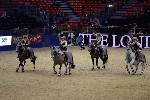 Quadrille - 00835